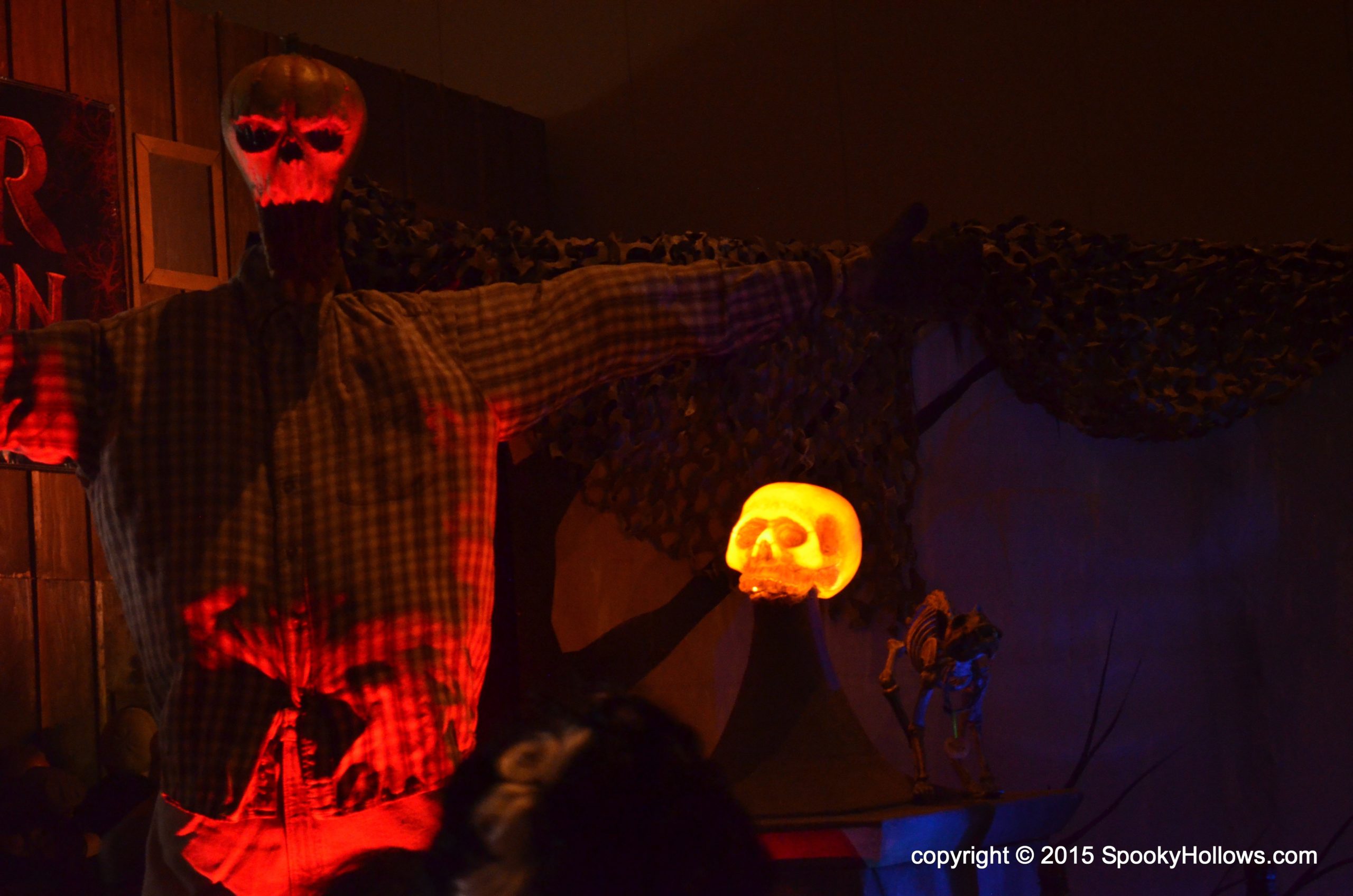 DSC_0257 DSC_0257