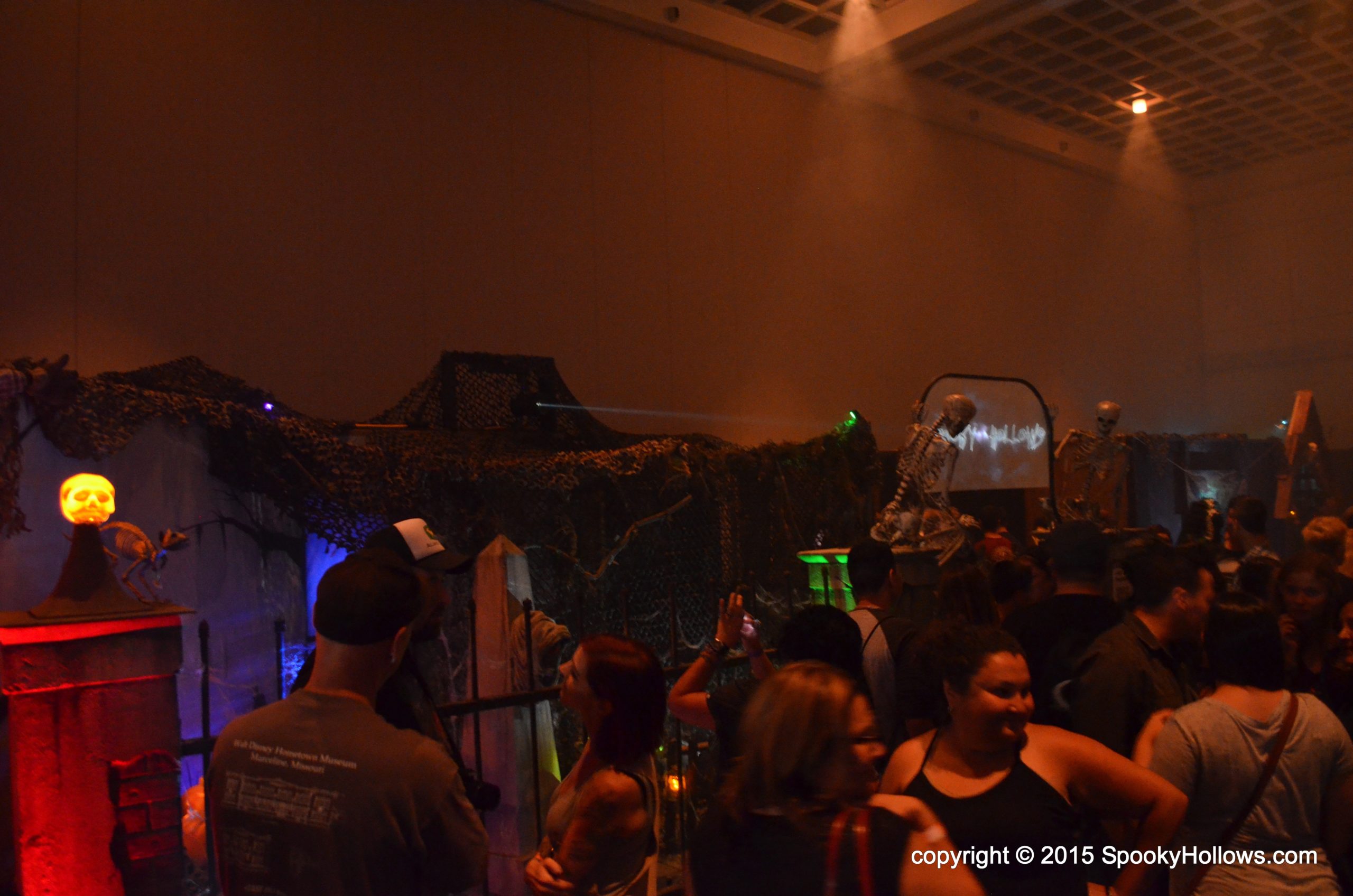 DSC_0264 DSC_0264