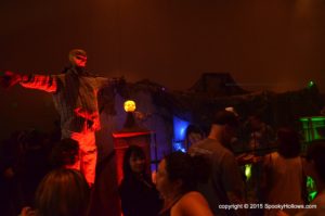 DSC_0265 DSC_0265