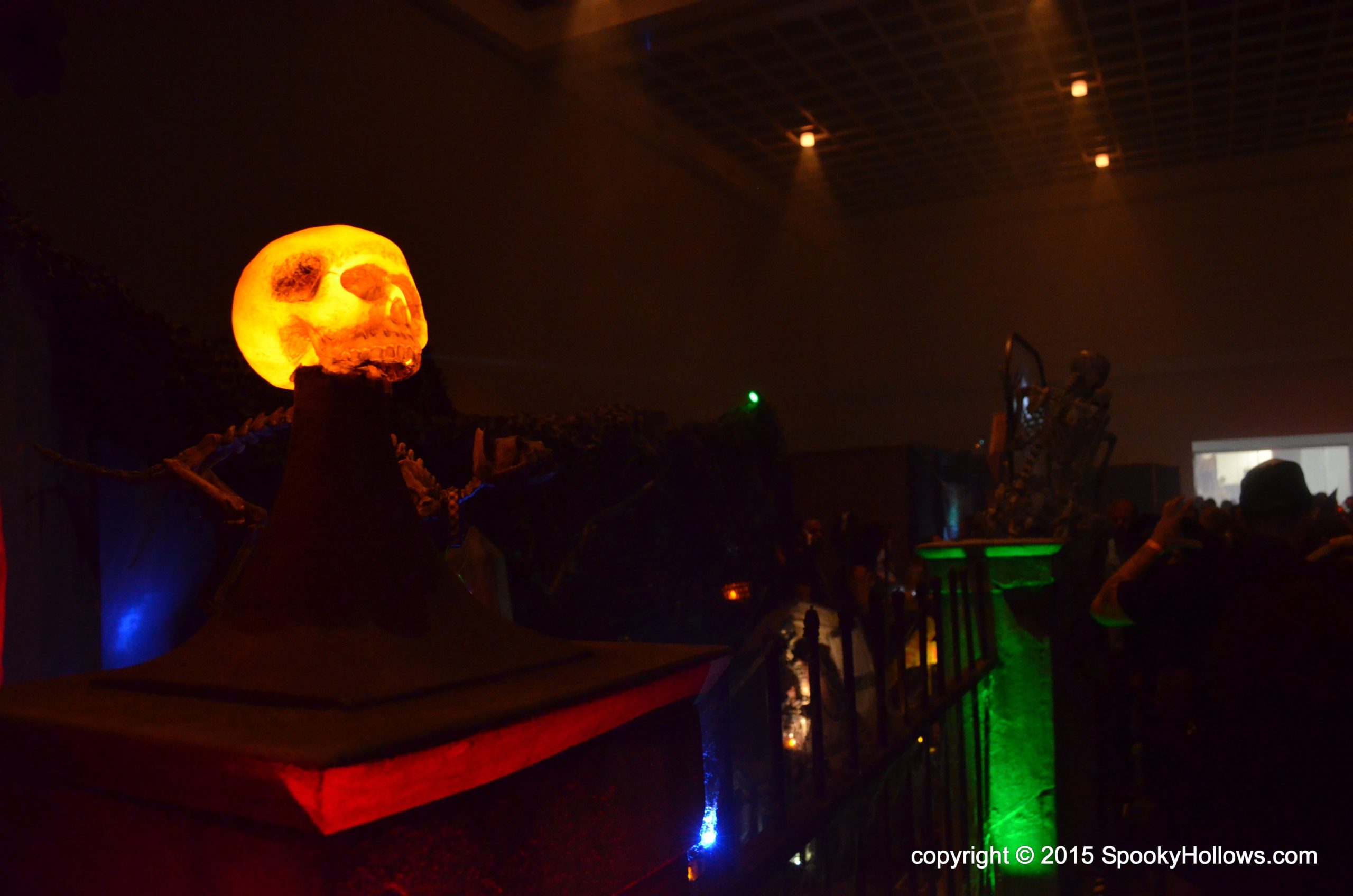 DSC_0267 DSC_0267