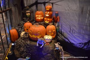 DSC_0303 DSC_0303